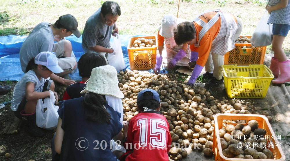 里山自然・クラフトサークル会員募集中！