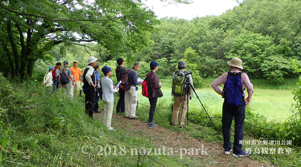 野津田公園　野鳥観察会