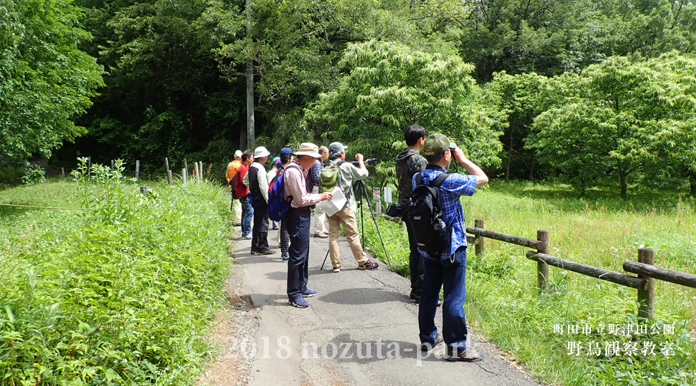 野津田公園　野鳥観察教室