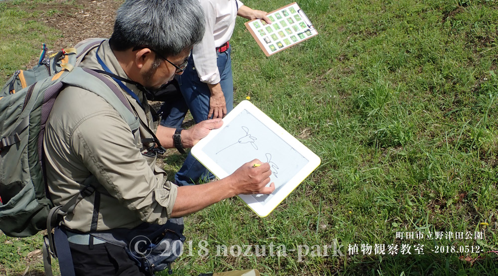 植物観察教室が開催されました -2018.5.12-