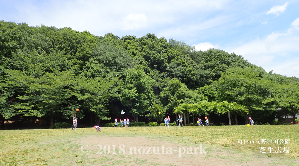 新緑の野津田公園 -園内のご紹介-