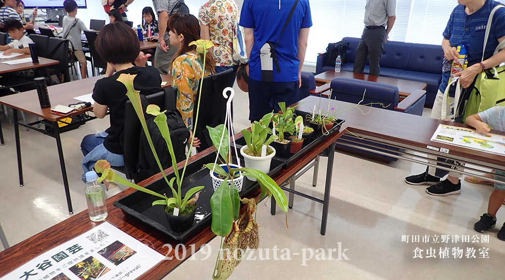 食虫植物教室