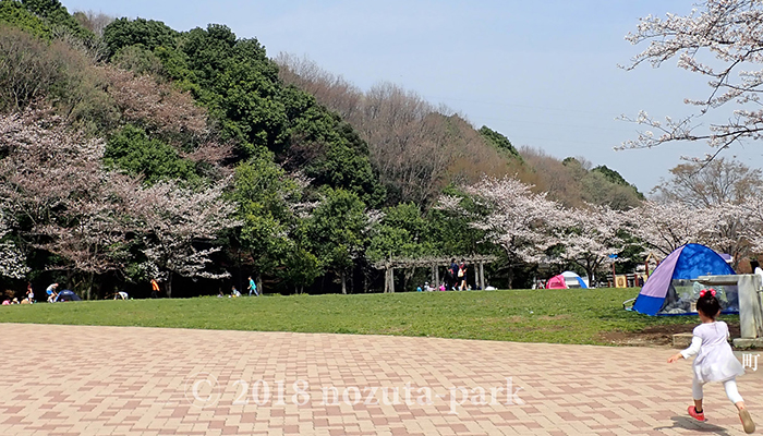 芝生広場