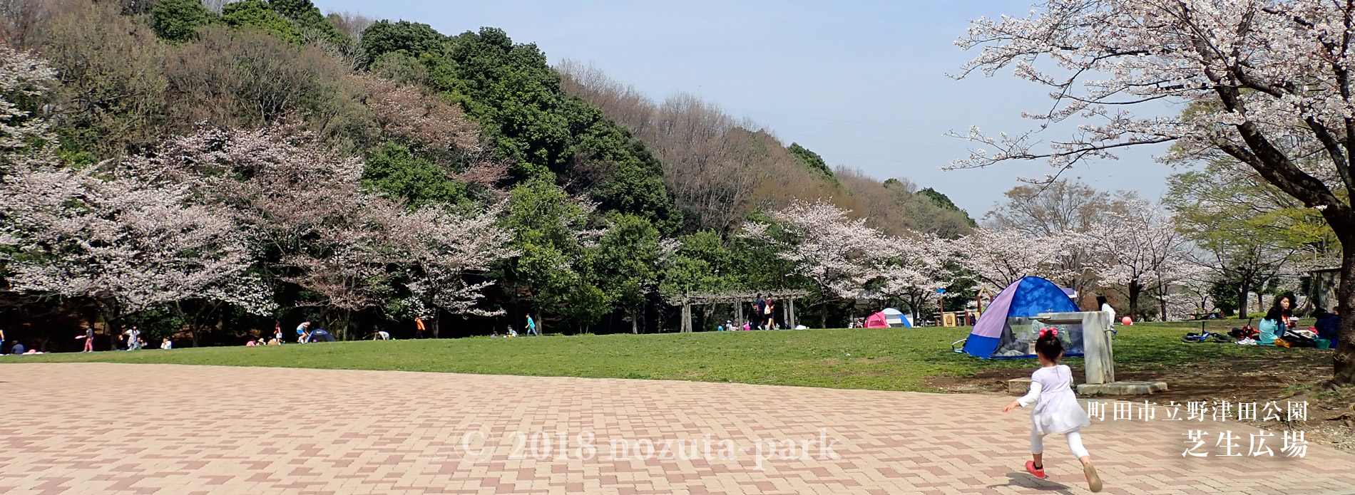 芝生広場