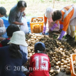 里山自然・クラフトサークル会員募集中！