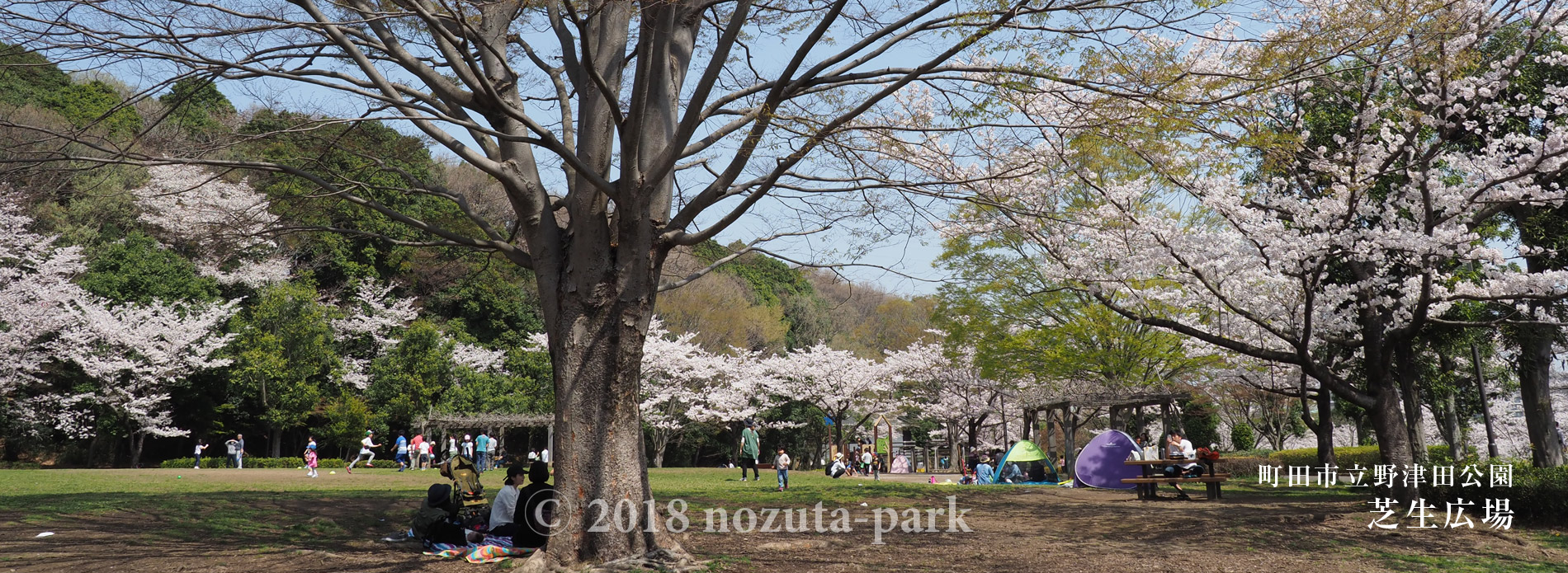 芝生広場