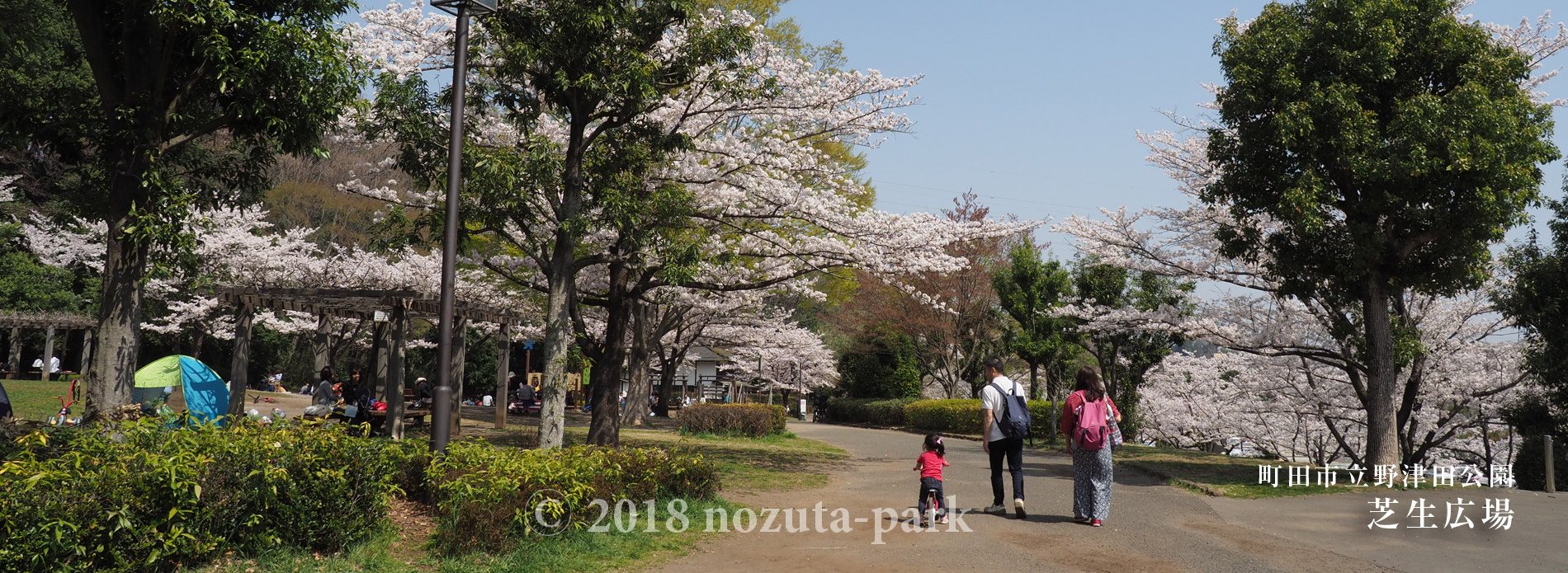 芝生広場