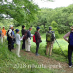 野津田公園　野鳥観察会