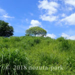 新緑の野津田公園 -園内のご紹介-