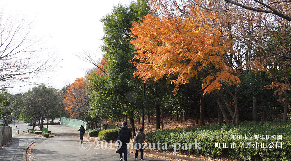 野津田公園紅葉