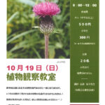 野津田公園　植物観察教室