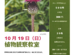 野津田公園　植物観察教室