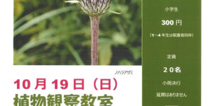 野津田公園　植物観察教室
