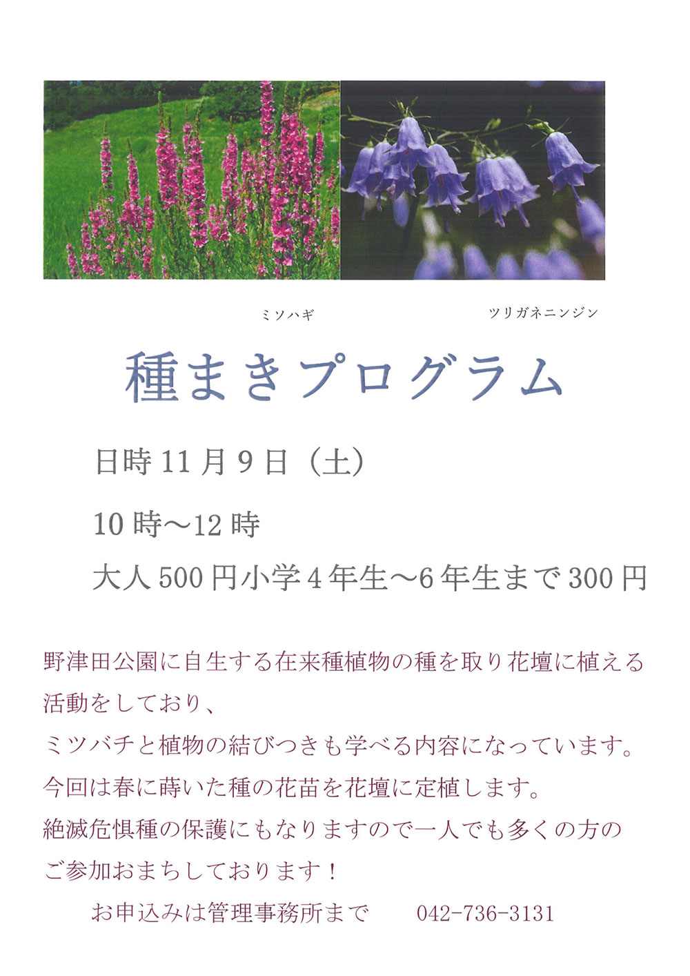 野津田公園種まきプログラム