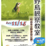 野津田公園　野鳥観察教室