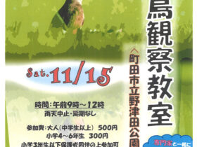 野津田公園　野鳥観察教室